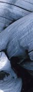 <u><strong>What's Web 2.0</strong></u>       
<br>...